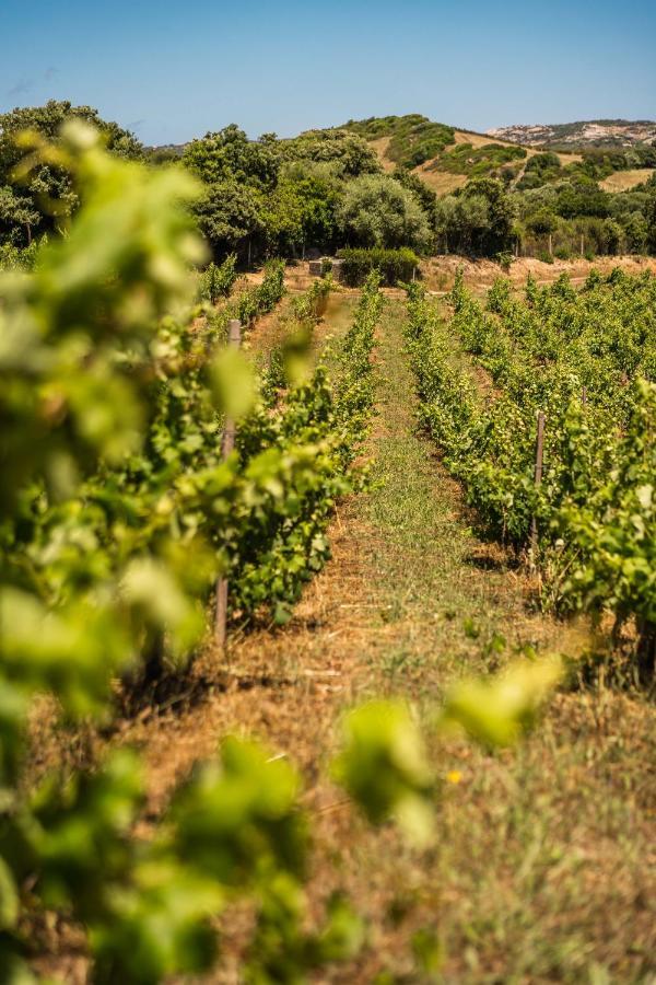Locanda In Vigna Arzachena Exterior foto